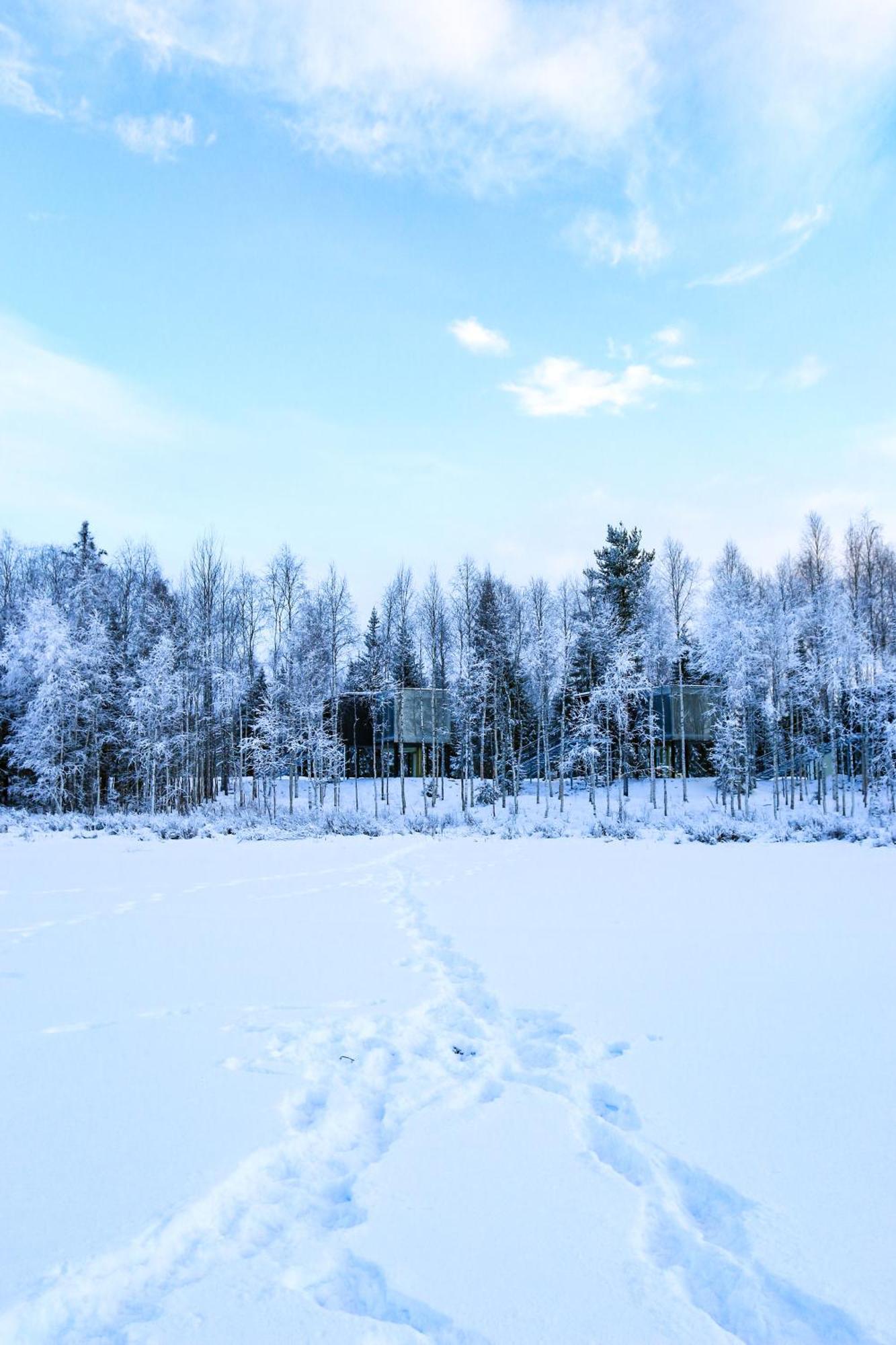 Silver Birch Resort Lapland Rovaniemi Esterno foto