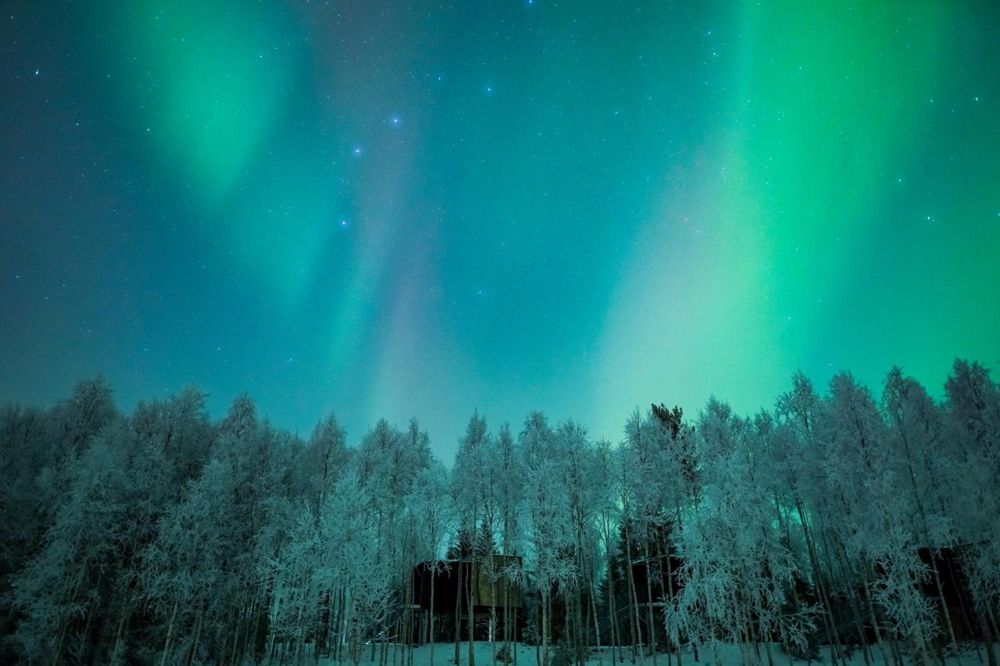 Silver Birch Resort Lapland Rovaniemi Esterno foto